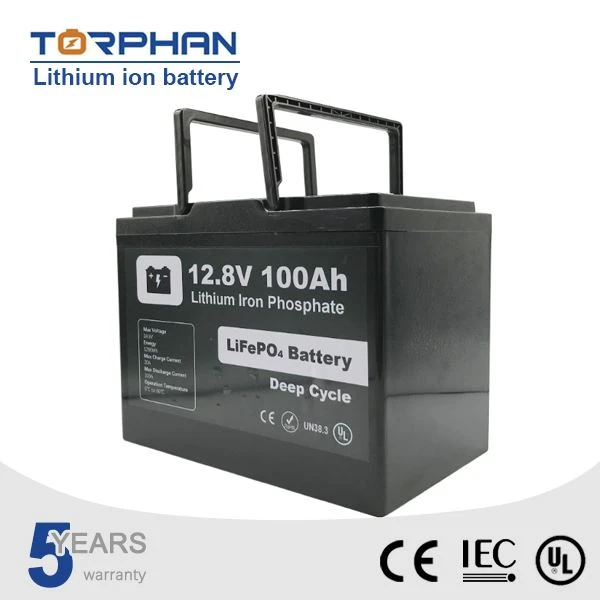 12v100ah